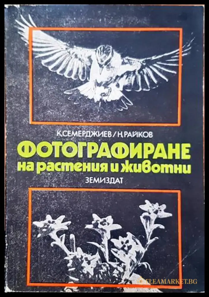 100 най-добри синмки - Книги