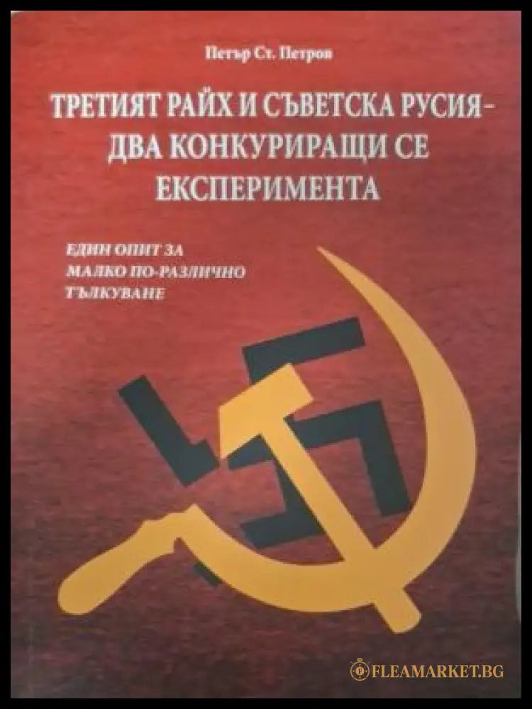 100-те най-големи загадки в историята (181807261301) - Н. Н. Непомняшчи - Книга