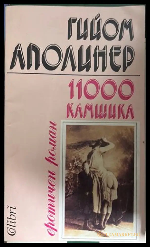 11 000 камшика - Гийом Аполинер