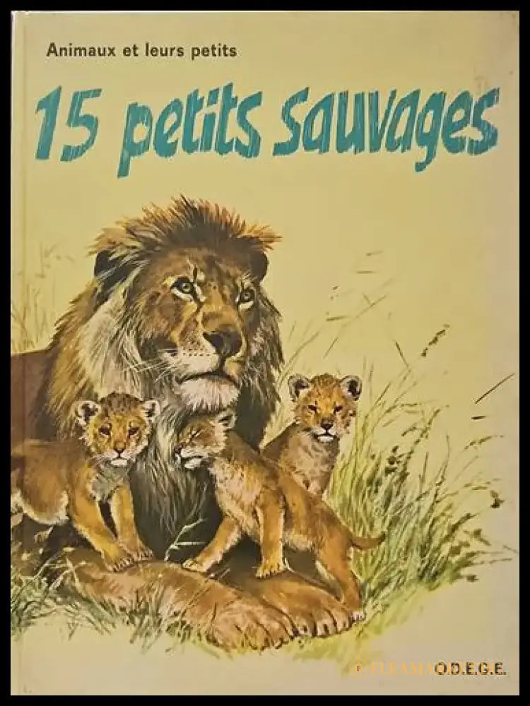 15 petits sauvage - Книги