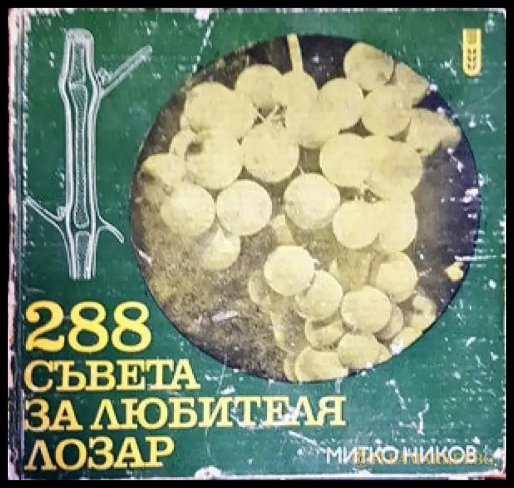 288 съвета за любителя лозар - Книги