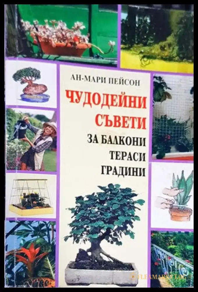 288 съвета за любителя лозар - Книги