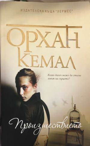 Произшествието (332009261436) - Орхан Кемал