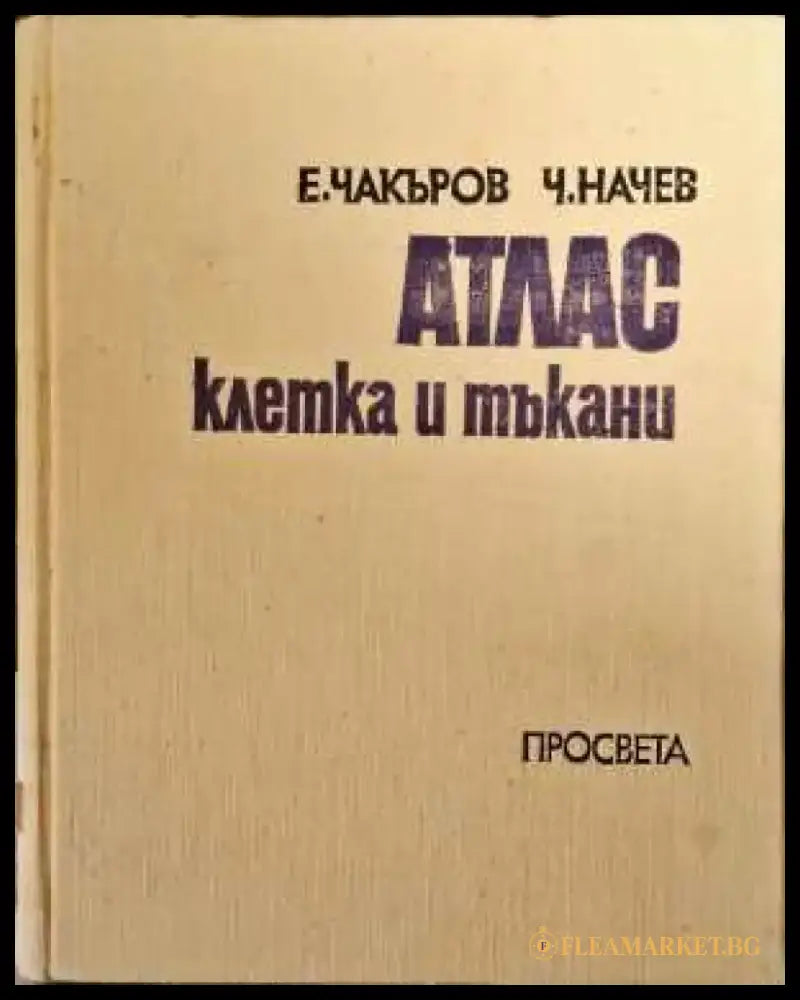 A history looking into the future/История с поглед към бъдещето - Книги