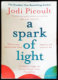 A spark of a light - Книги