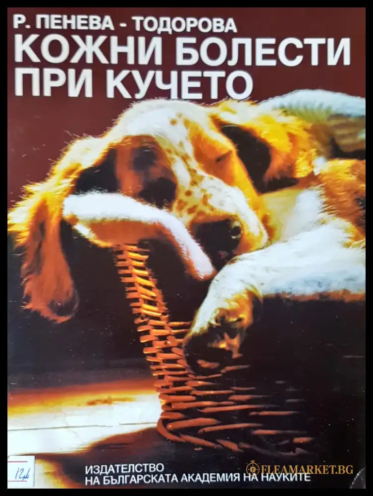 ABSORB - Книги