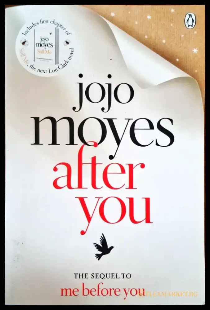 After you (1359) - Книга