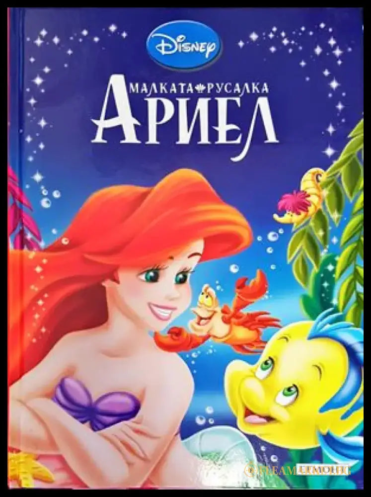 Аладин (642) - Книга