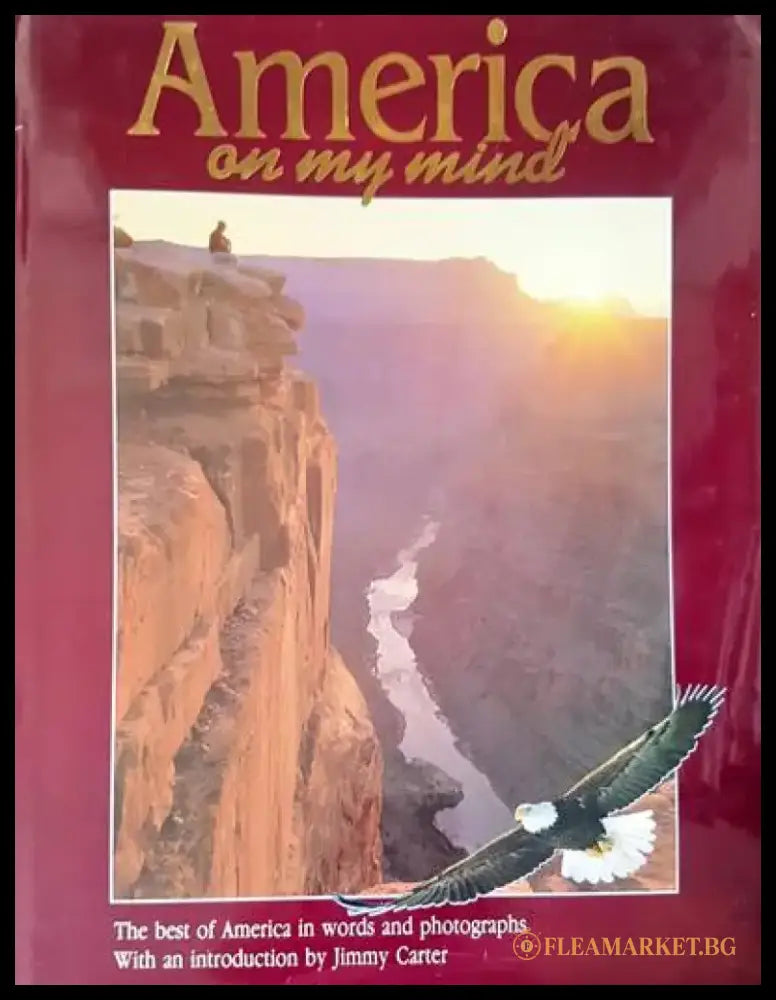 America an my mind - Книги