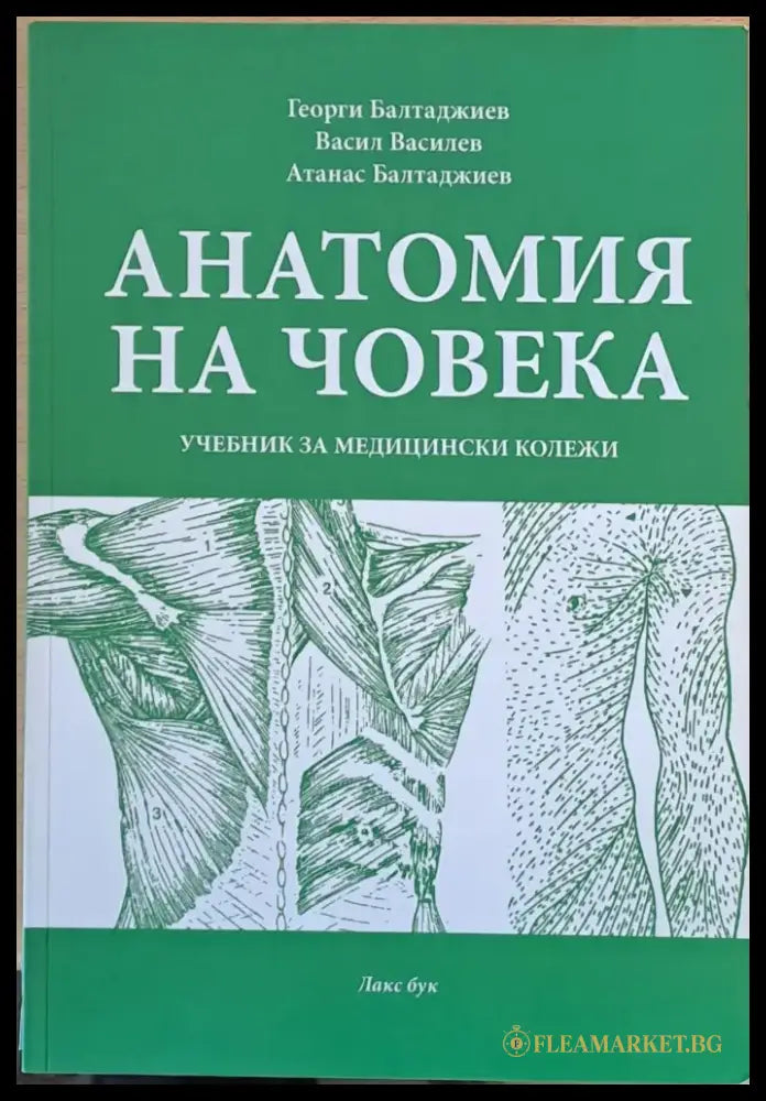 Анатомия на човека (527) - Книга