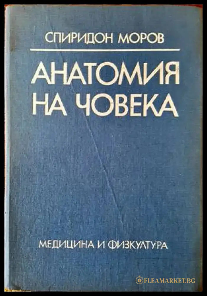 Анатомия на човека (1073) - Книга