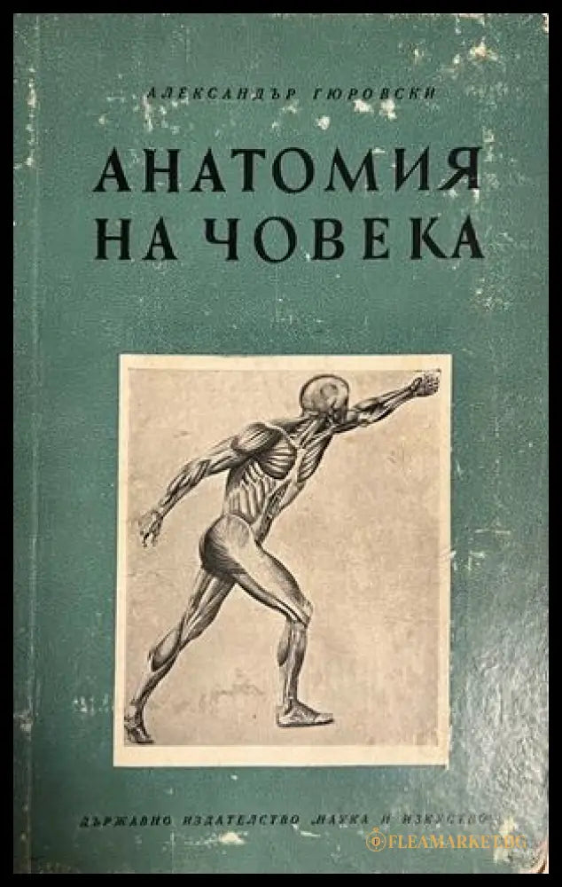 Корица на Анатомия на човека от Александър Гюровски
