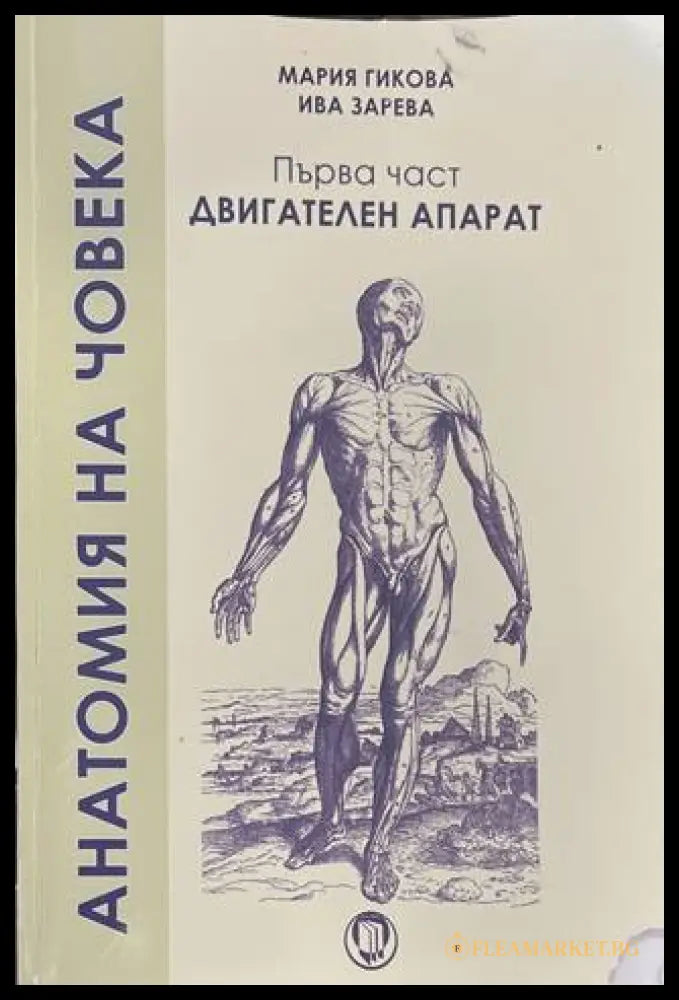 Анатомия на човека Част 1 - Гикова, Зарева