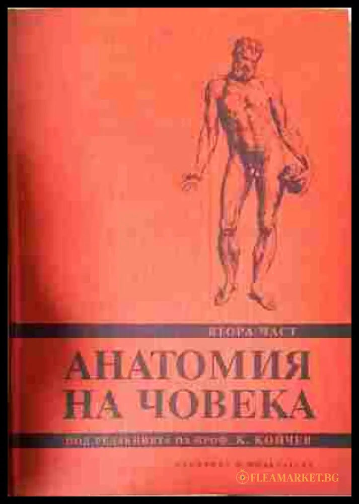 Анатомия на човека - Част 2