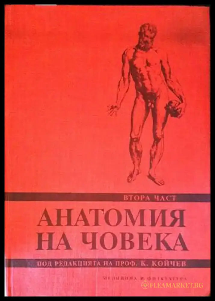 Анатомия на човека. Част 2 - Книги
