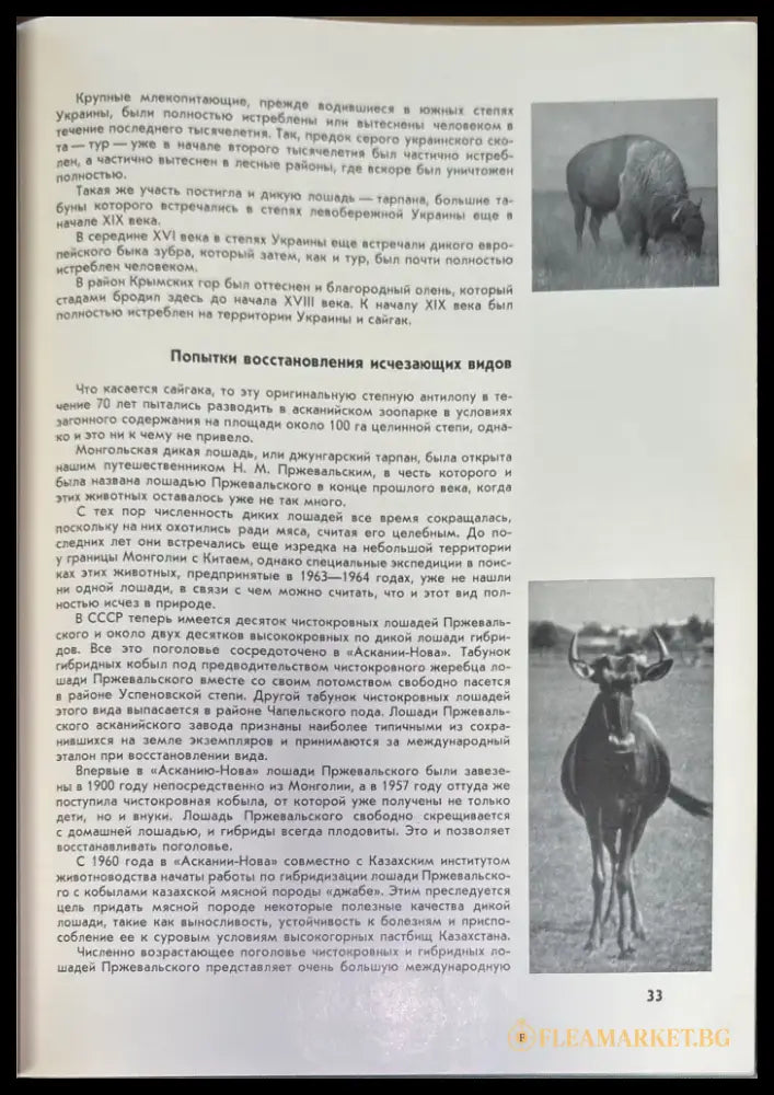 Аскания-нова - Книги