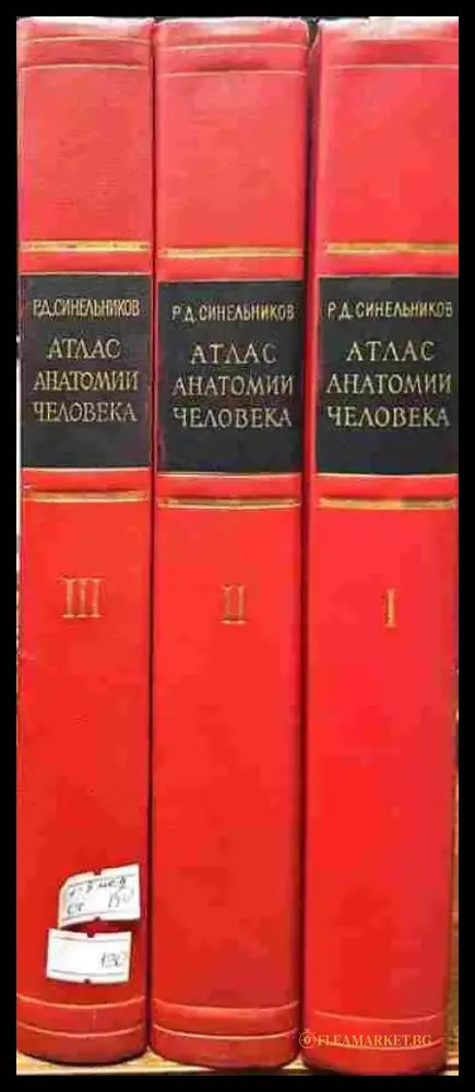 Атлас анатомии человека в трех томах. Том 1-3 - Книги