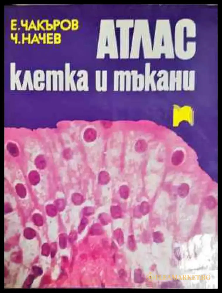 Атлас: Клетка и тъкани - Отлично - Книги