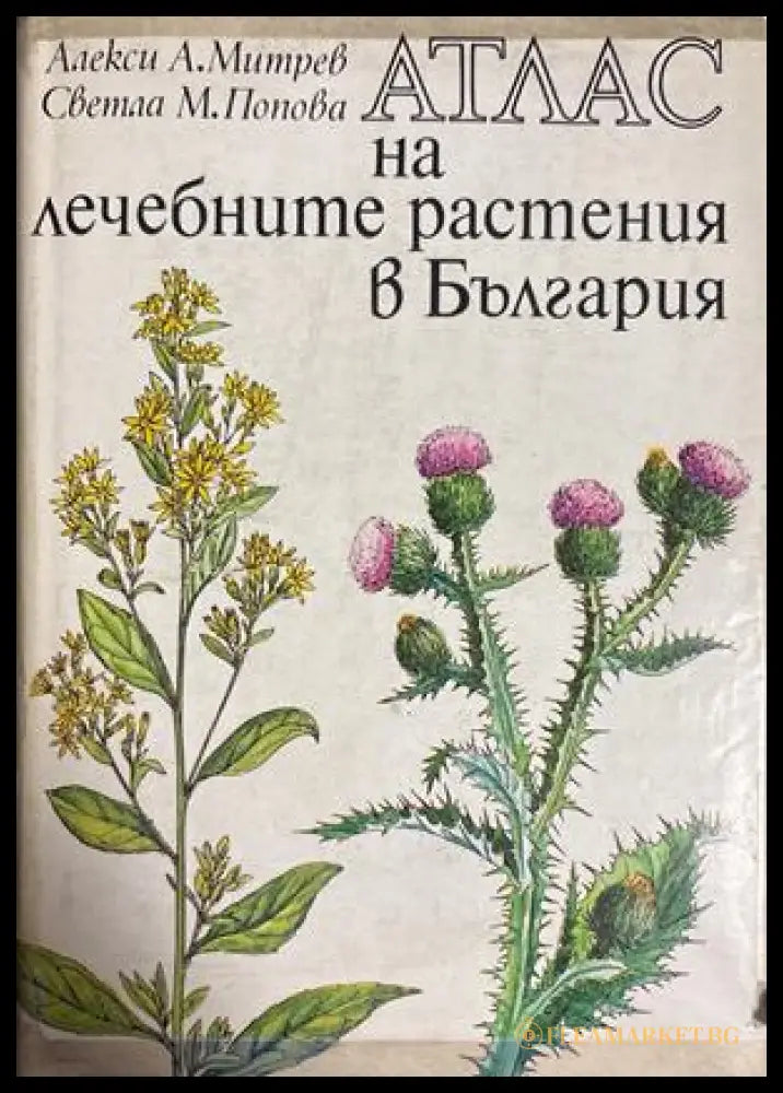 Атлас на лечебните растения в България