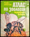 Атлас по зоология: Безгръбначни животни (385) - Книга