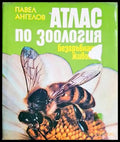 Атлас по зоология: Безгръбначни животни (332506261418) - Павел Ангелов - Книга