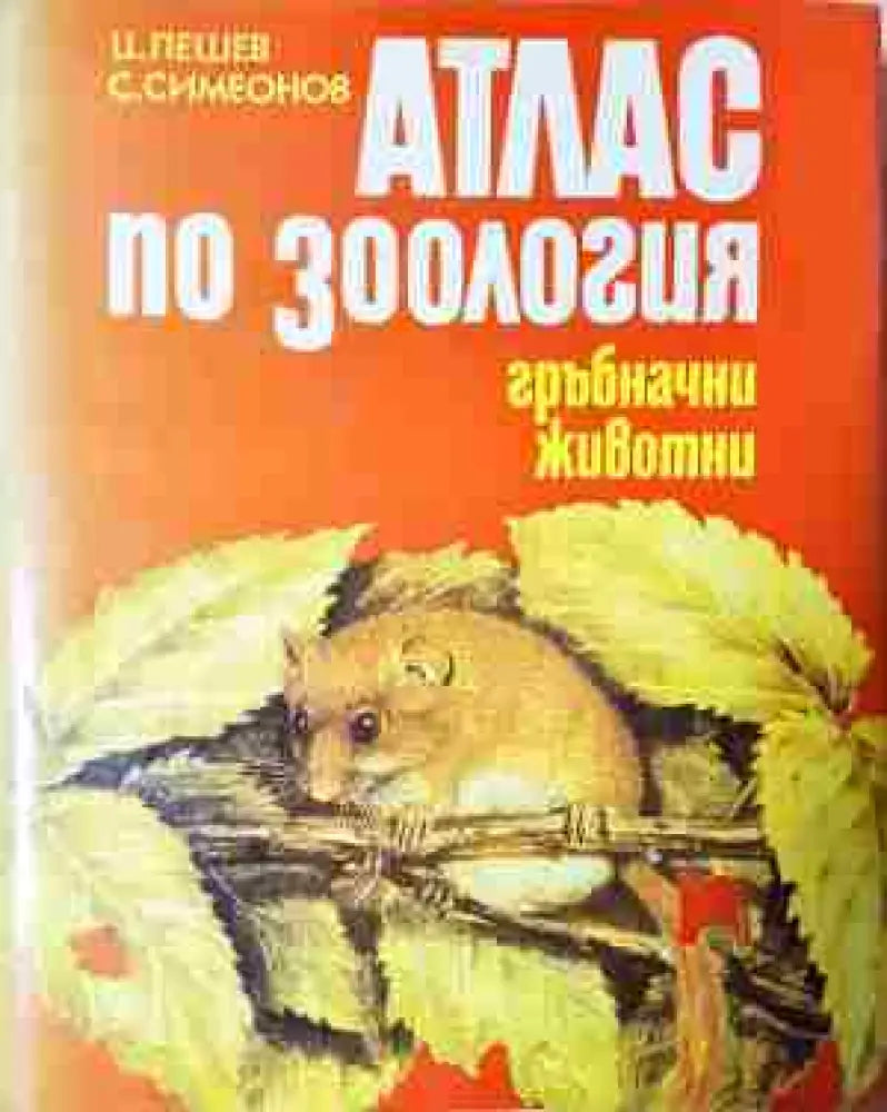 Атлас по зоология: Гръбначни животни - Книга