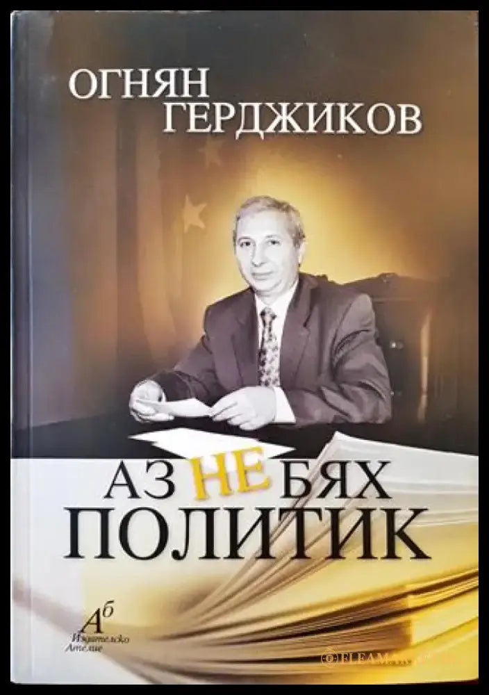 Аз не бях политик - Книга