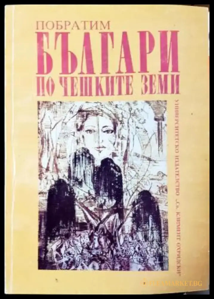 Българи по чешките земи - Побратим (445) - Книга