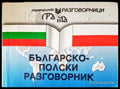 Българско-полски разговорник - Книги