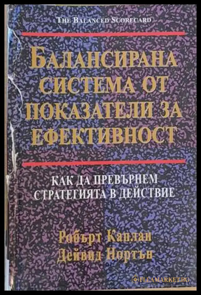 Балансирана система от показатели за ефективност (541) - Книга