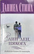 Един ден, някога – Даниел Стийл