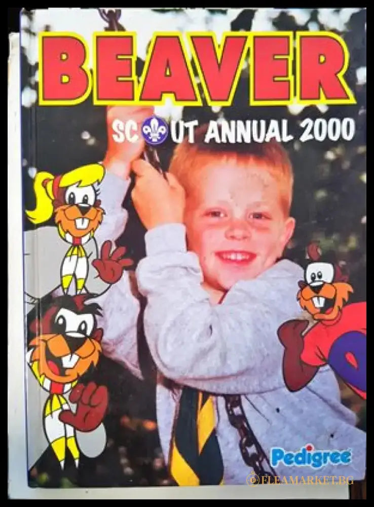 Beaver Scout Annual: 2000 - Книги