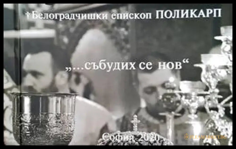 Белоградчишки епископ Поликарп - Книги