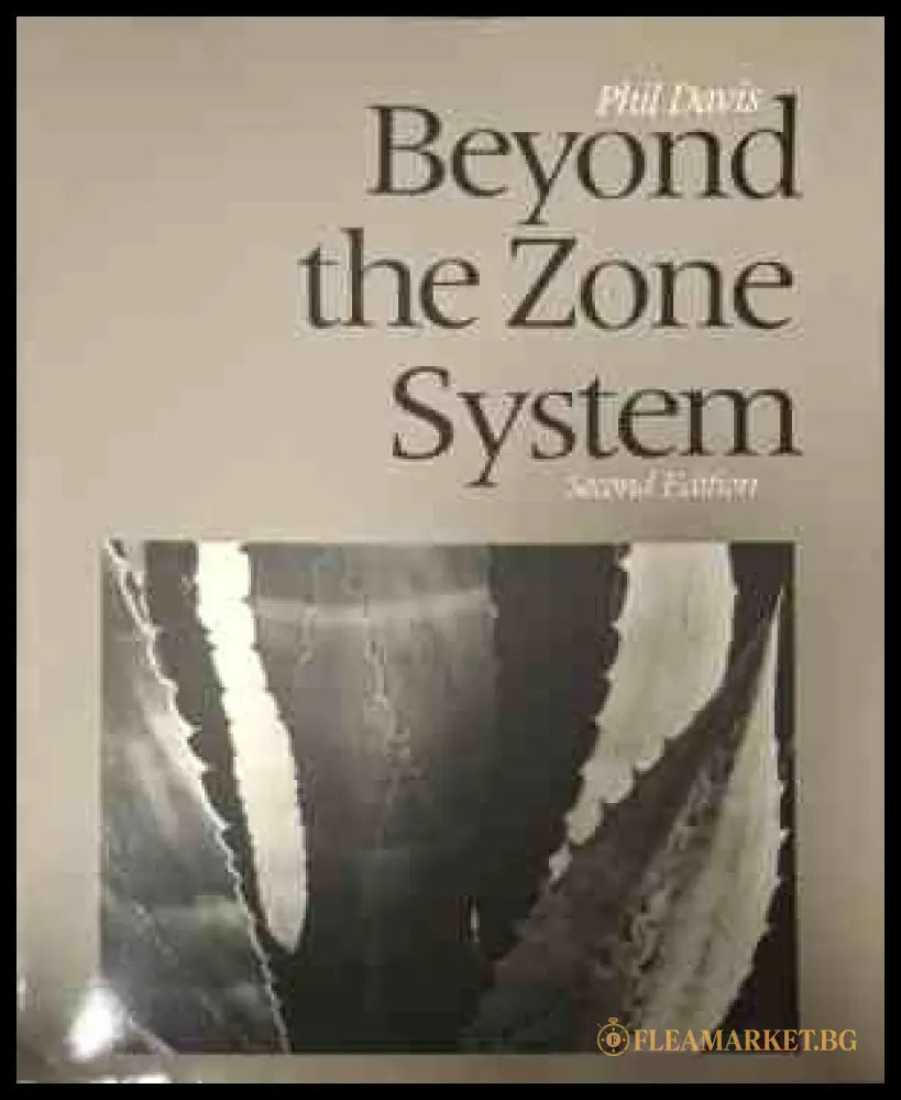 Beyond the Zone System - корица