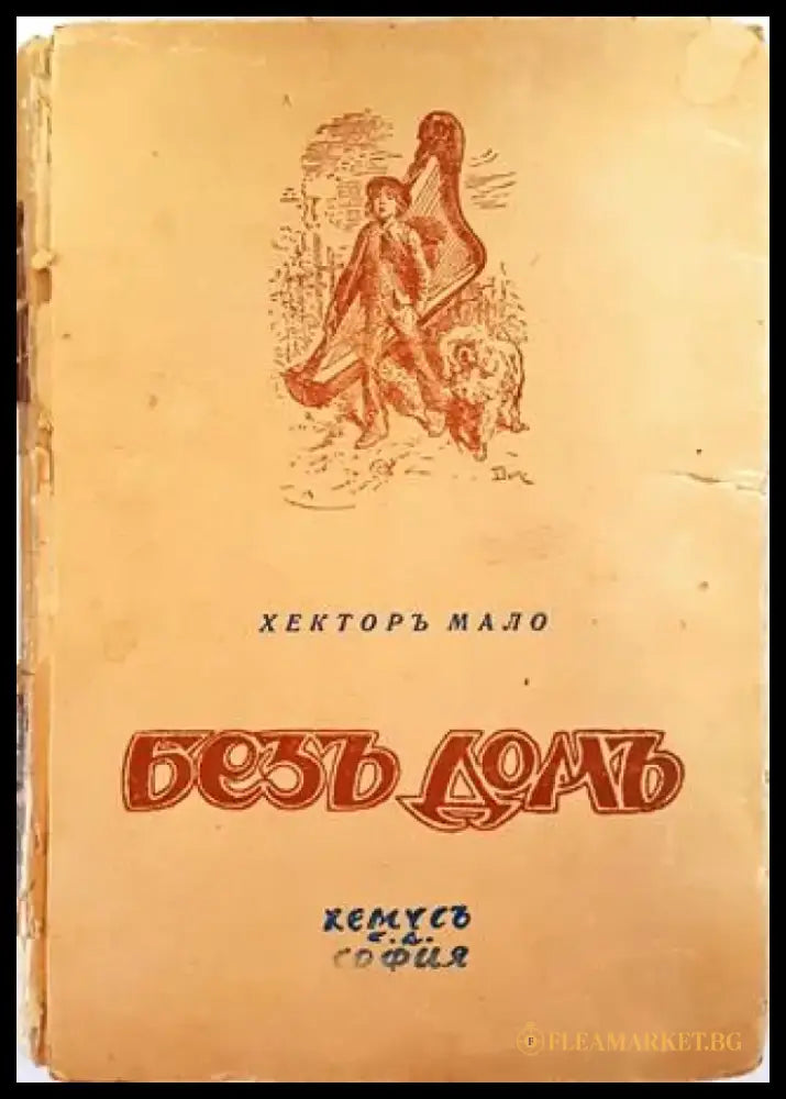 Безъ домъ (1042) - Книга