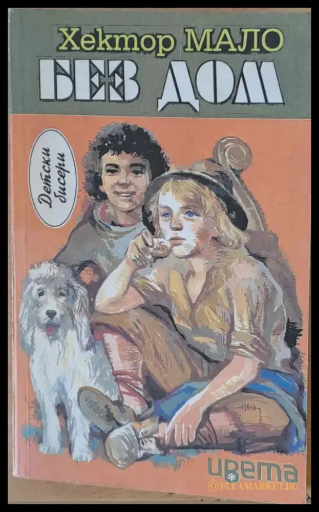 Без дом - Книги