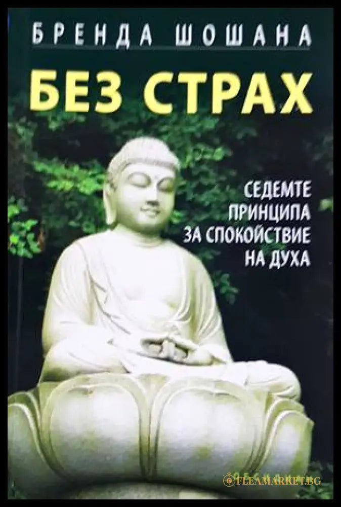 Без страх - Бренда Шошана
