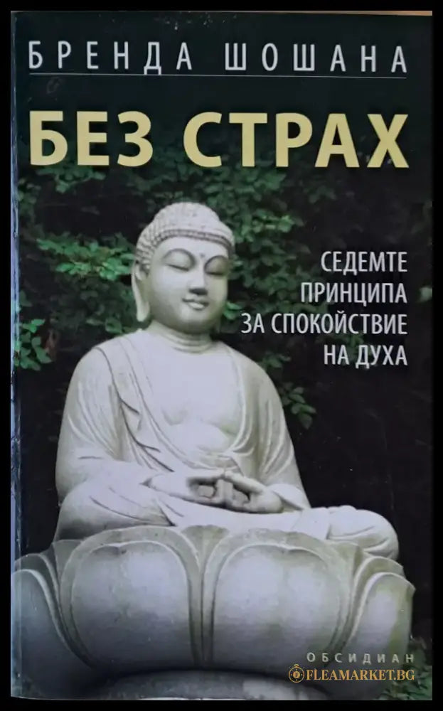 Без страх. Седемте принципа за спокойствие на духа - Книги