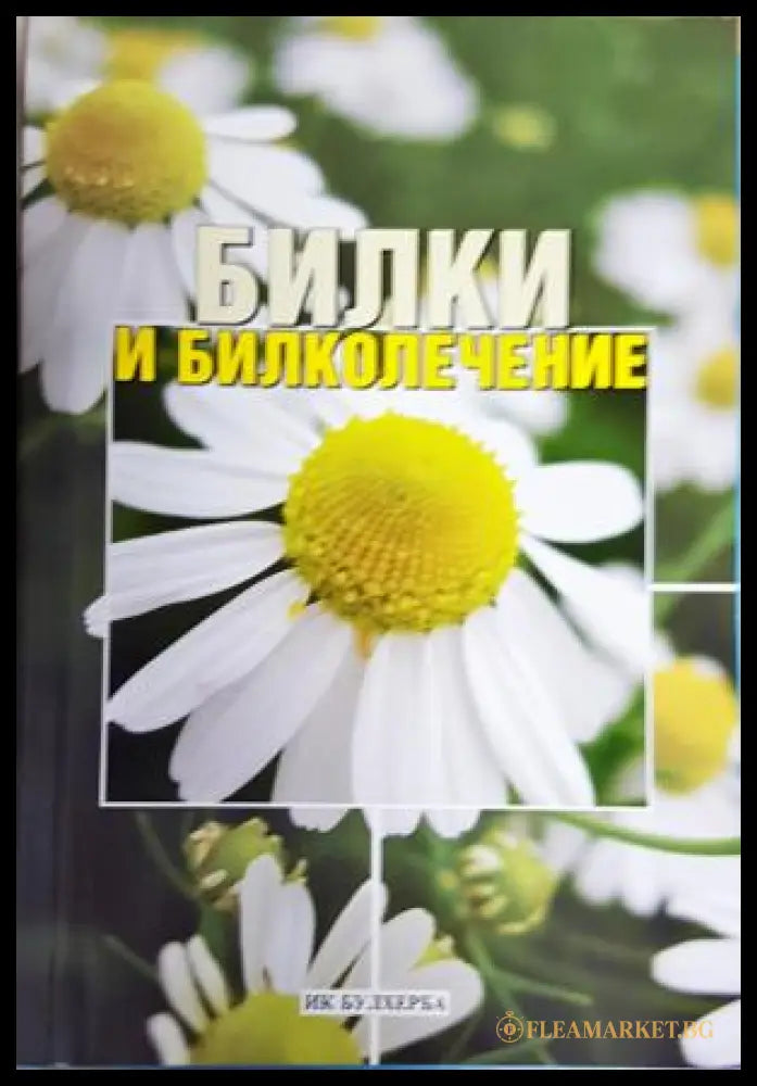 Билки и билколечение (35200526143800) - Юрий Кирилов - Книга