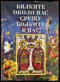 Билките около нас срещу болките в нас (2591) - Книга