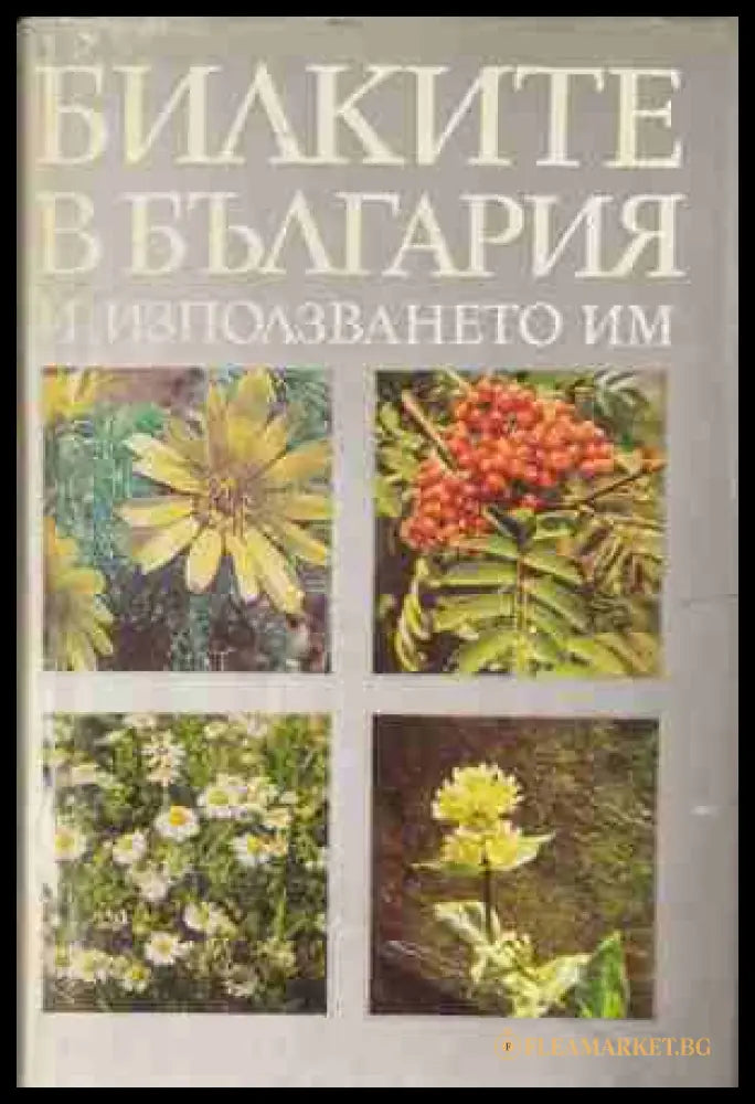 Билките в България и използването им