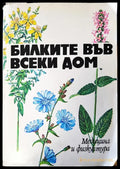 Билките във всеки дом (517) - Книга