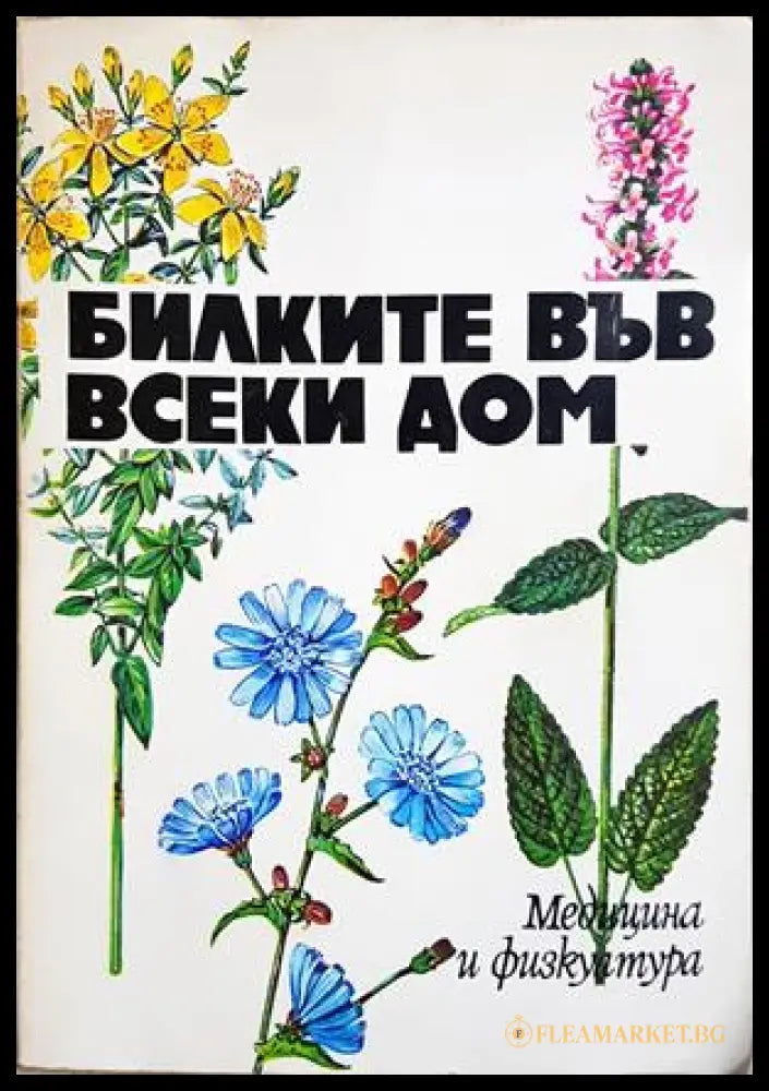 Билките във всеки дом (352406261847) - Душка Станева Диана Панова Лиляна Райнова Иван Асенов - Книга