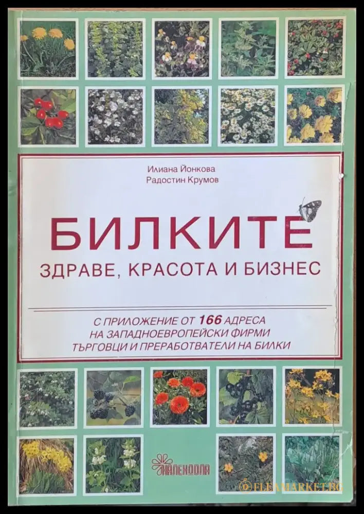 Билките - здраве красота и бизнес - Книги