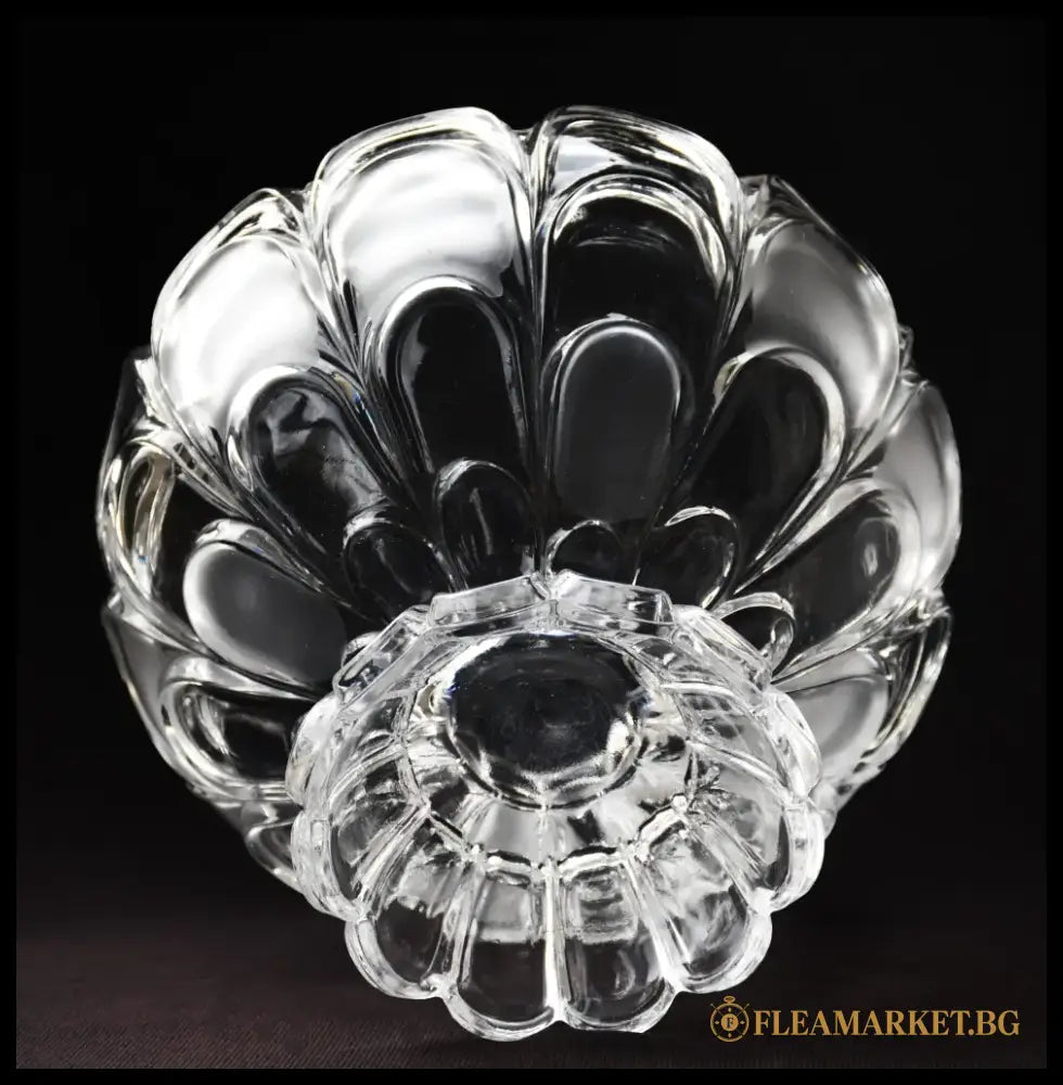 ’Bohemia’ - Фруктиера ’Toscana Drape’ antique