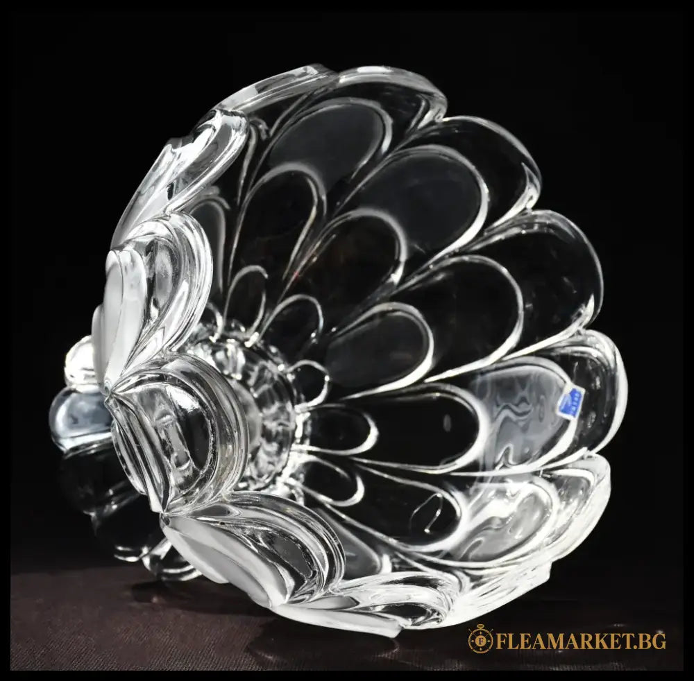 ’Bohemia’ - Фруктиера ’Toscana Drape’ antique