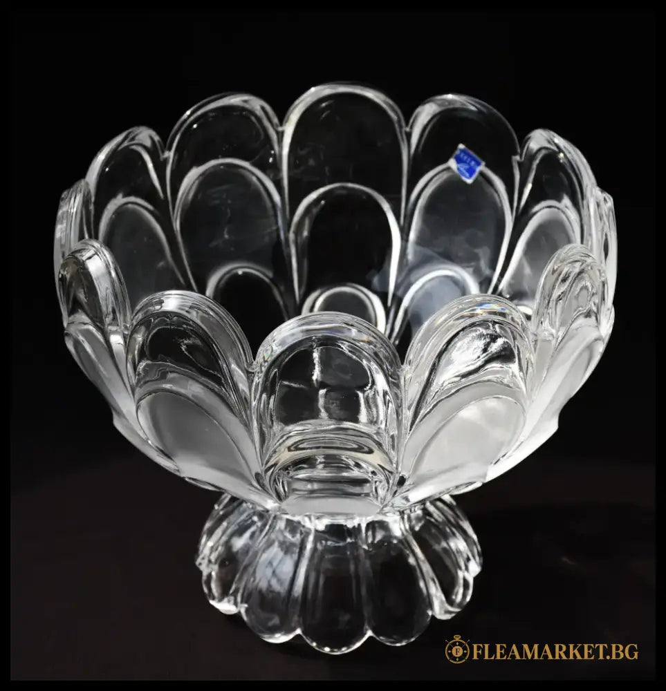 ’Bohemia’ - Фруктиера ’Toscana Drape’ antique