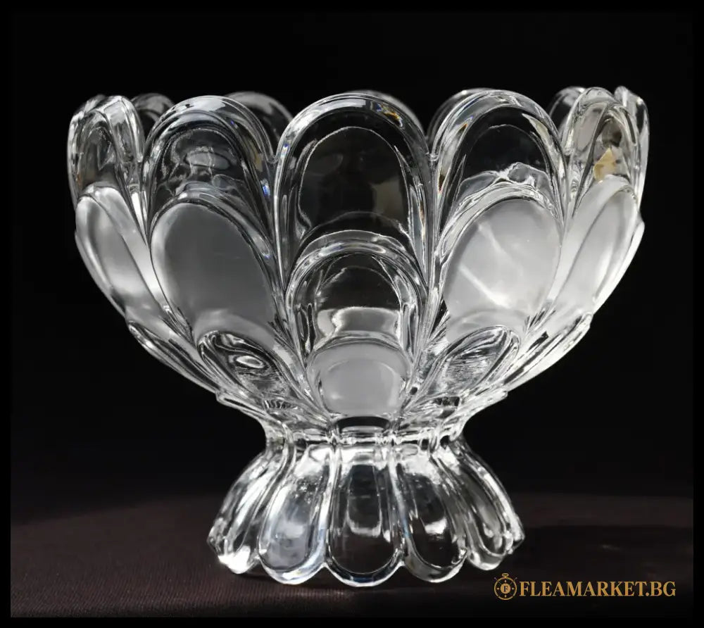 ’Bohemia’ - Фруктиера ’Toscana Drape’ antique