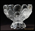 ’Bohemia’ - Фруктиера ’Toscana Drape’ antique