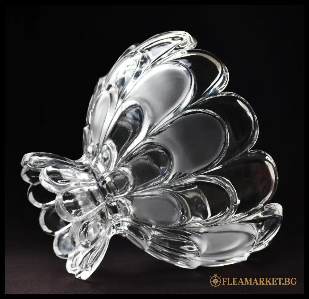 ’Bohemia’ - Фруктиера ’Toscana Drape’ antique